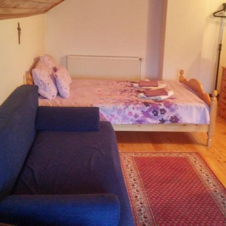 Casa Doina Hotel Szászbuda Kültér fotó