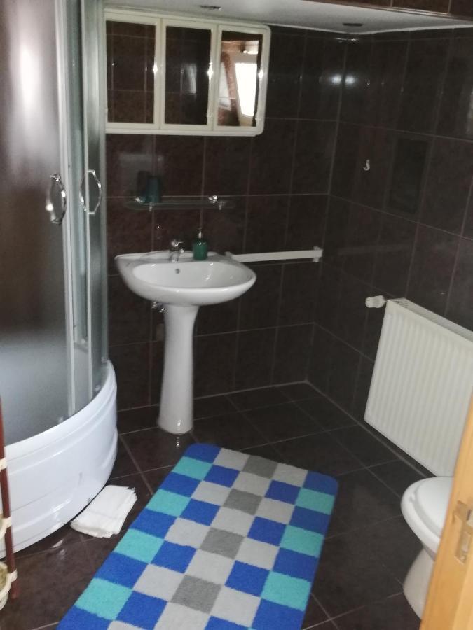 Casa Doina Hotel Szászbuda Kültér fotó