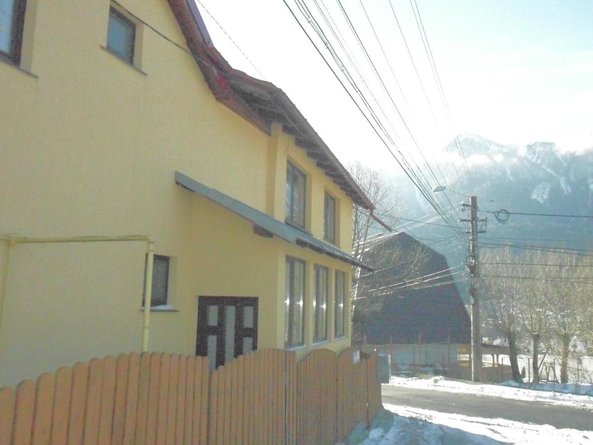 Casa Doina Hotel Szászbuda Kültér fotó