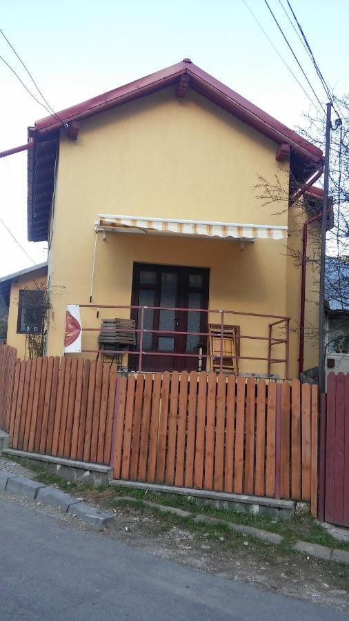 Casa Doina Hotel Szászbuda Kültér fotó