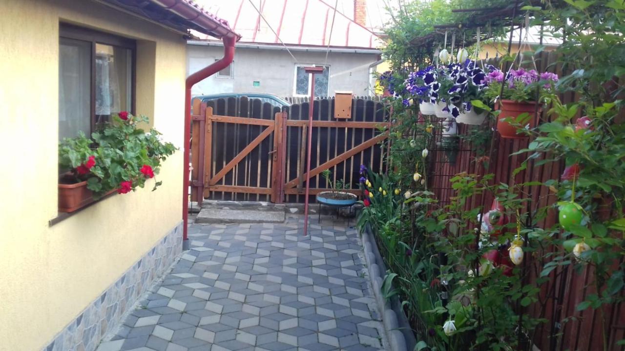 Casa Doina Hotel Szászbuda Kültér fotó