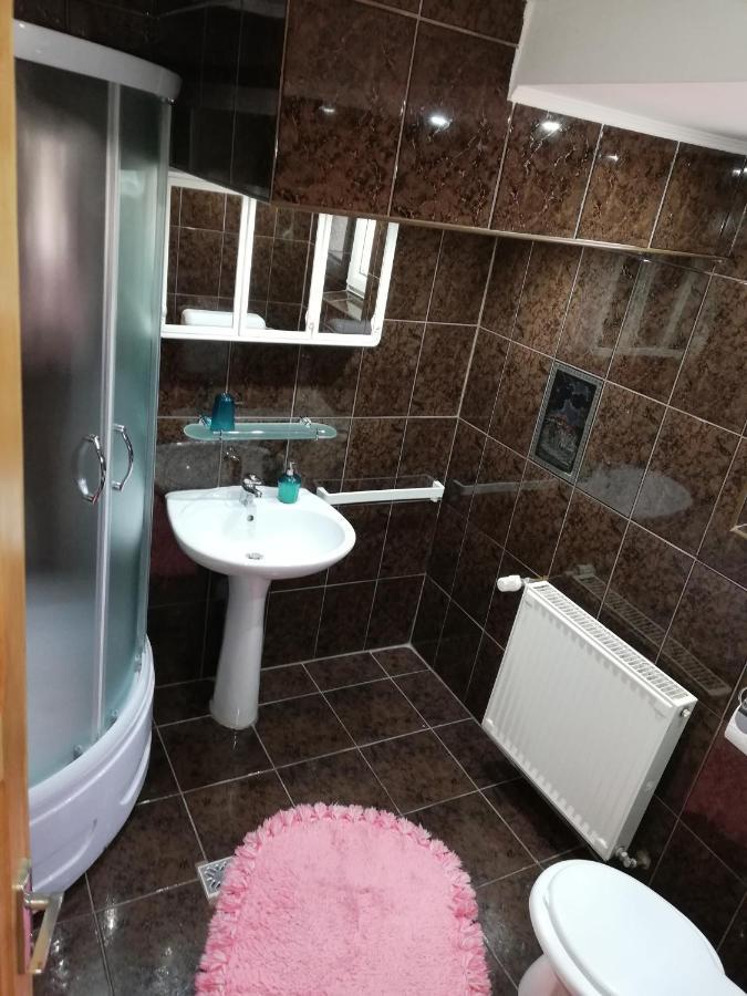 Casa Doina Hotel Szászbuda Kültér fotó