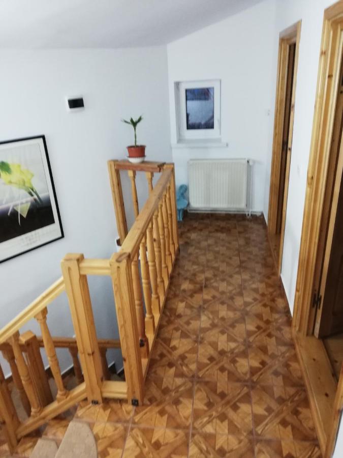 Casa Doina Hotel Szászbuda Kültér fotó