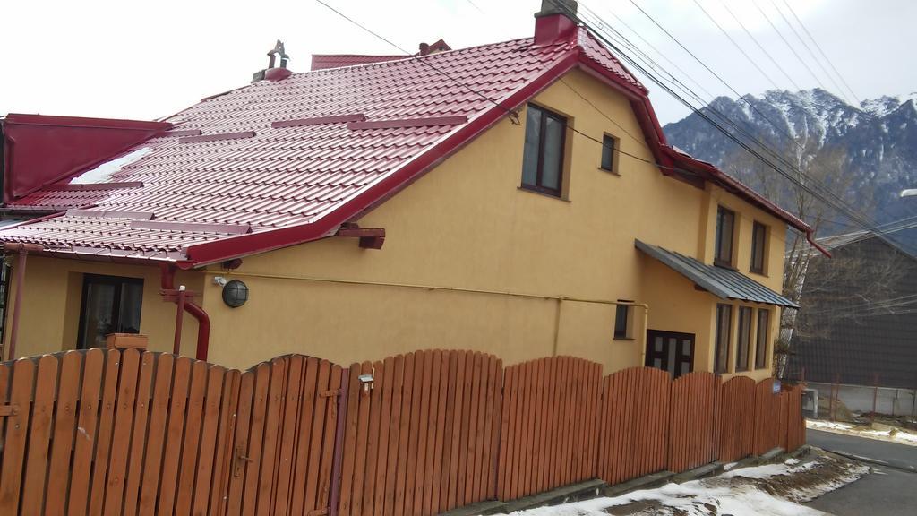 Casa Doina Hotel Szászbuda Kültér fotó